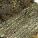AK-Interactive Terrains Wet Ground 250ml (8016) thumbnail