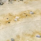 AK-Interactive Terrains Desert Sand 250ml (8020) thumbnail
