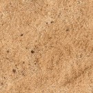 AK-Interactive Terrains Sandy Desert 250ml (8022) thumbnail