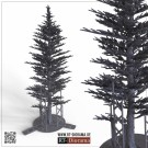 RT-Diorama 35480 Fir Tree [No.2] thumbnail