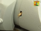 Set of barrels for German Heavy Tank MAUS thumbnail