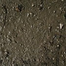AK-Interactive Terrains Wet Ground 250ml (8016) thumbnail