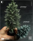 RT-Diorama 35471 Fir Tree [No.1] thumbnail